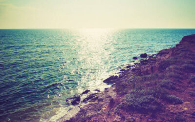 The Universal Events, Inc. Team Enjoys a Trip to Mexico